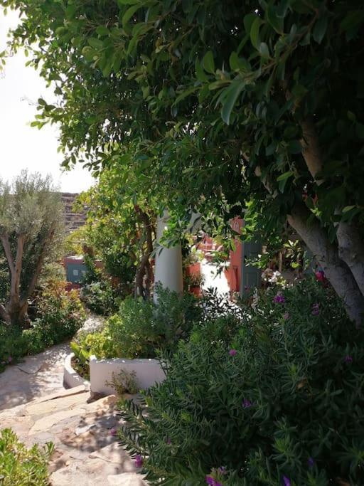 Casa Dei Melograni At Vourlidia Leros Villa Vromolithos Eksteriør bilde