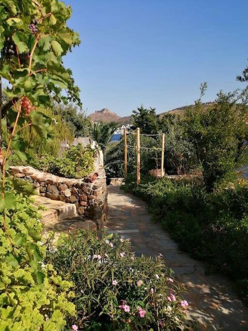 Casa Dei Melograni At Vourlidia Leros Villa Vromolithos Eksteriør bilde